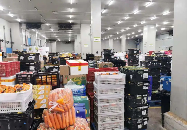助力民生和医疗物资保供，太阳成集团tyc151cc抗疫救灾一直在线！